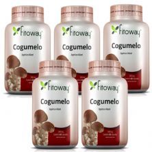 Kit 5X Cogumelo Agaricus Fitoway 300Mg - 60 C�psulas - Fitoway