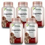 Kit 5X Cogumelo Agaricus Fitoway 300Mg - 60 C�psulas - Fitoway