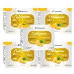 Kit 5X Col�geno Verisol - 30 Sach�s 5g Abacaxi - Herbamed