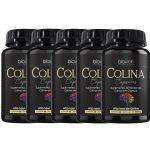 Kit 5X Colina - 60 C�psulas - Bioklein