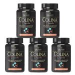 Kit 5X Colina - 60 C�psulas - Bioklein