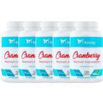 Kit 5X Cranberry - 120 C�psulas - Fitoway