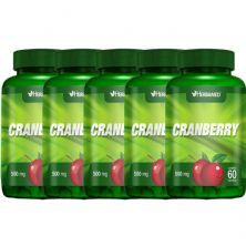 Kit 5X Cranberry 60 C�psulas - Herbamed