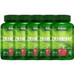 Kit 5X Cranberry 60 C�psulas - Herbamed