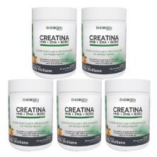 Kit 5X Creatina + HMB + ZMA + BORO - 300g Lim�o Siciliano - Endogen