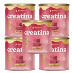 Kit 5X Creatina Monohidratada - 40 Dados 6,5g Caramelo de Morango - Desinch�