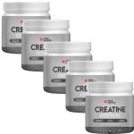 Kit 5X Creatine 100% Pure - 300g - True Source