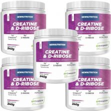 Kit 5X Creatine com D-ribose - 240g Natural - NewNutrition