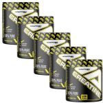 Kit 5X Creatine Platinum Series  - 300g - Adaptogen