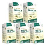 Kit 5X Extrato de Pr�polis Verde Liofilizado - 60 C�psulas - Lauton Nutrition