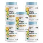 Kit 5X Fresh Collagen - 450g Abacaxi e Hortel� - Dux Nutrition