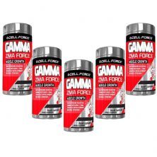 Kit 5X Gamma ZMA Force - 60 C�psulas - Cell Force
