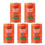 Kit 5X Grass Fed Balance Collagen Protein - 450g Neutro - Bigens