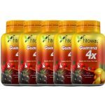 Kit 5X Guarana 4X - 60 C�psulas - Fitoway