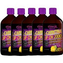 Kit 5X L-Carnitina 2000 - 480ml Abacaxi - Power Supplements