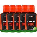 Kit 5X L-Carnitina 2000mg - 500ml Lim�o - New millen