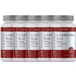 Kit 5X L-Carnitina Plus - 60 C�psulas - Lauton Nutrition