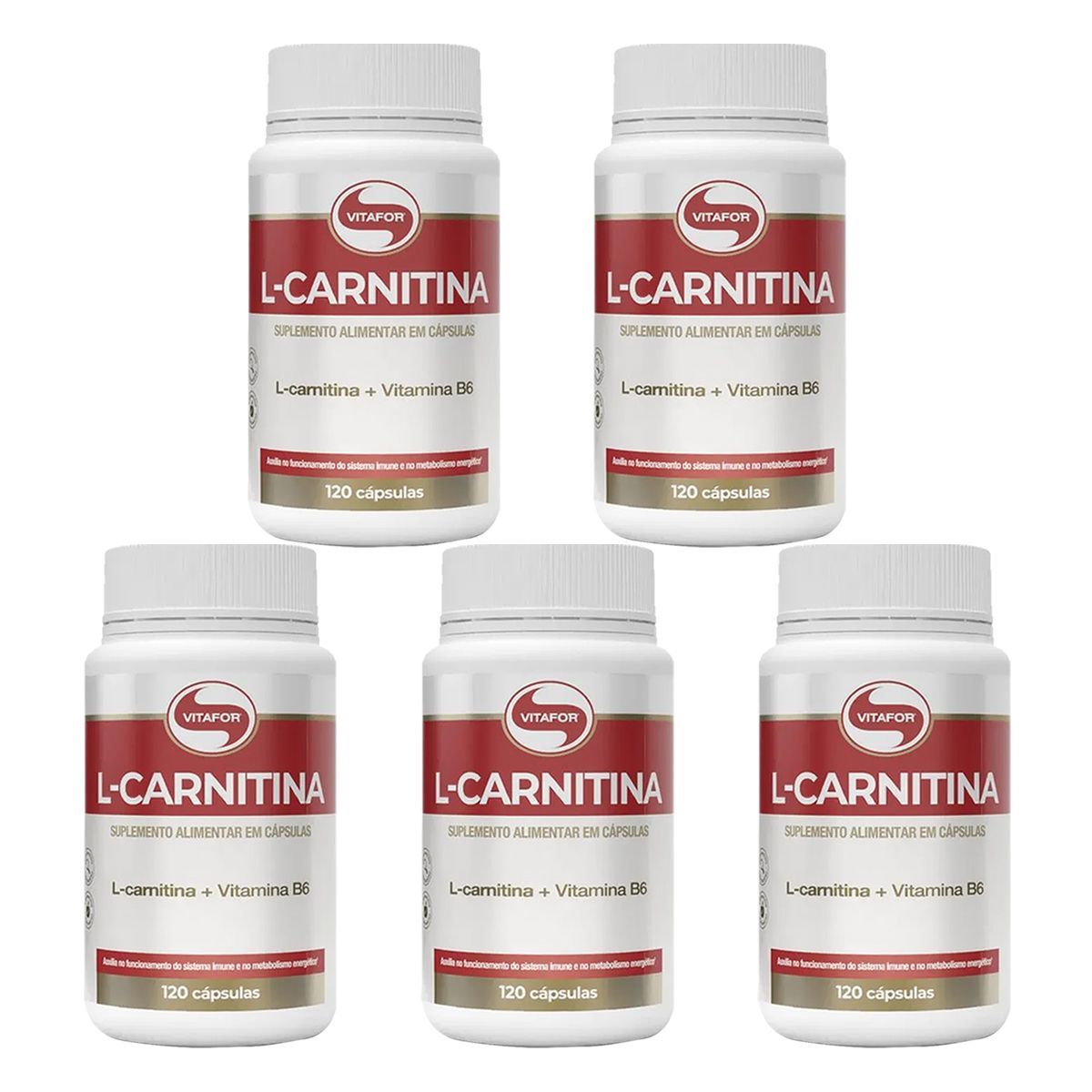 Kit 5X L-Carnitina + Vitamina B6 - 120 C�psulas - Vitafor