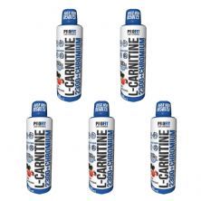 Kit 5X L-Carnitine 2300+Chromium - 480ml A�a� com Guaran� - ProFit