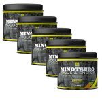 Kit 5X Minotauro Focus & Energy - 300g Laranja - Iridium