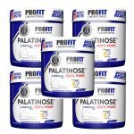 Kit 5X Palatinose 100% Pure - 300g Natural - ProFit