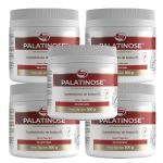 Kit 5X Palatinose - 300g Neutro - Vitafor