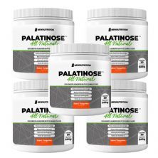 Kit 5X Palatinose - 300g Tangerina - NewNutrition