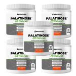 Kit 5X Palatinose - 300g Tangerina - NewNutrition