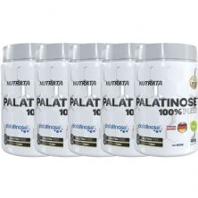 Kit 5X Palatinose - 400g Natural - Nutrata
