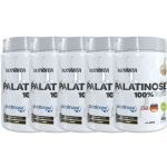 Kit 5X Palatinose - 400g Natural - Nutrata