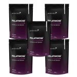 Kit 5X Palatinose Natural da Beterraba - 300g Neutro - Puravida