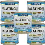 Kit 5X Palatinose Pure - 300g - Nature