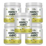 Kit 5X Perfect Amino - 360g Citrus Rush - True Source