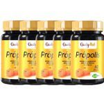 Kit 5X Prop�lis - 60 C�psulas - Qualynutri