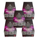 Kit 5X Psichotic Dragon - 30 Sach�s de 10g Fruit Punch - Demons Lab