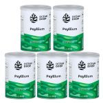 Kit 5X Psyllium em P� - 300g Sabor Natural - Ocean Drop