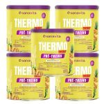 Kit 5X Thermo Energy - 300g Abacaxi e Hortel� - Sanavita