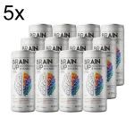 Kit 5X True Brain up Read to Drink - 12 Unidades 269ml Blueberry - True Source