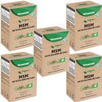 Kit 5X Vegan MSM + Malato de Magn�sio - 60 C�psulas - VitaminLife