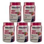 Kit 5X Whey Protein Concentrado 100% - 900g Morango - Power1One