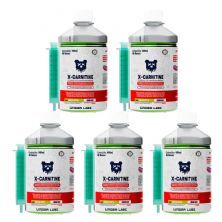 Kit 5X X-carnitine -�480ml Green Apple - Under Labz