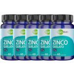 Kit 5X Zinco Quelato 28mg - 60 C�psulas - QualyNutri