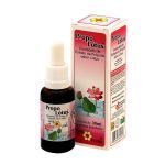 Propol�tus - 30ml L�tus - Apis Flora