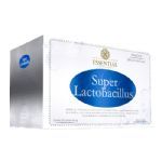 Super Lactobacillus - 30 sach�s 2g - Essential Nutrition