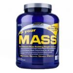 Up Your Mass - 2270g Cookeis - MHP